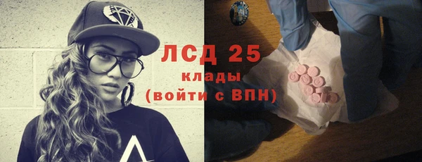 прущие грибы Вязьма