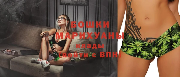 прущие грибы Вязьма