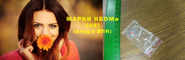 прущие грибы Вязьма