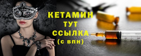 прущие грибы Вязьма