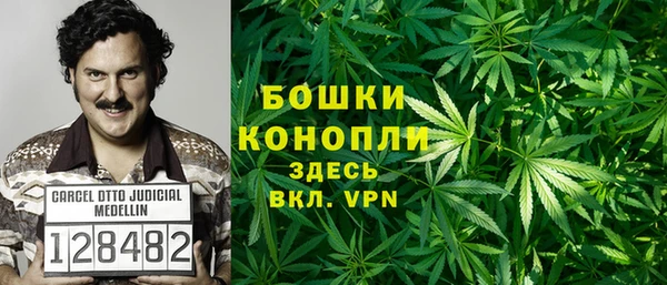 прущие грибы Вязьма