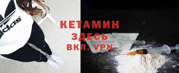 прущие грибы Вязьма
