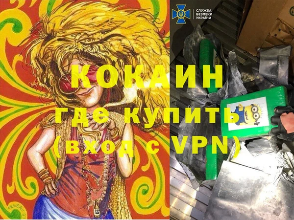 прущие грибы Вязьма
