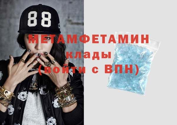 прущие грибы Вязьма