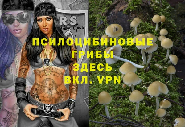 кокс Вяземский