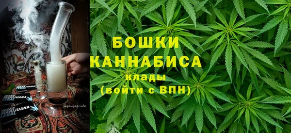прущие грибы Вязьма