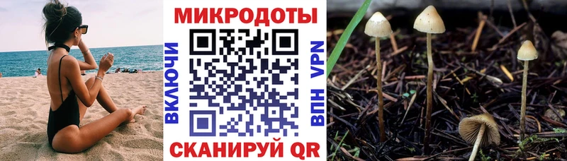 Псилоцибиновые грибы Magic Shrooms  Нефтеюганск 
